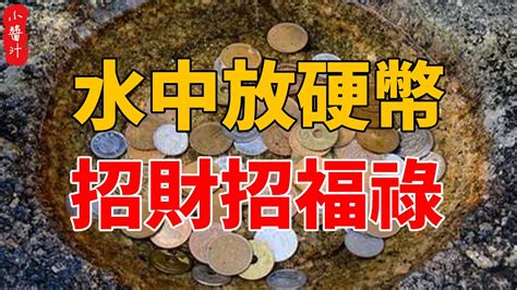 花瓶裡放硬幣|花瓶放硬幣可以旺財運嗎花瓶裡放硬幣的風水